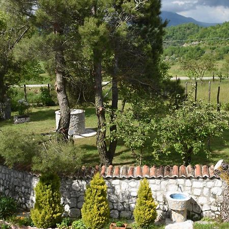 B&B Nel Verde Montesano sulla Marcellana ภายนอก รูปภาพ