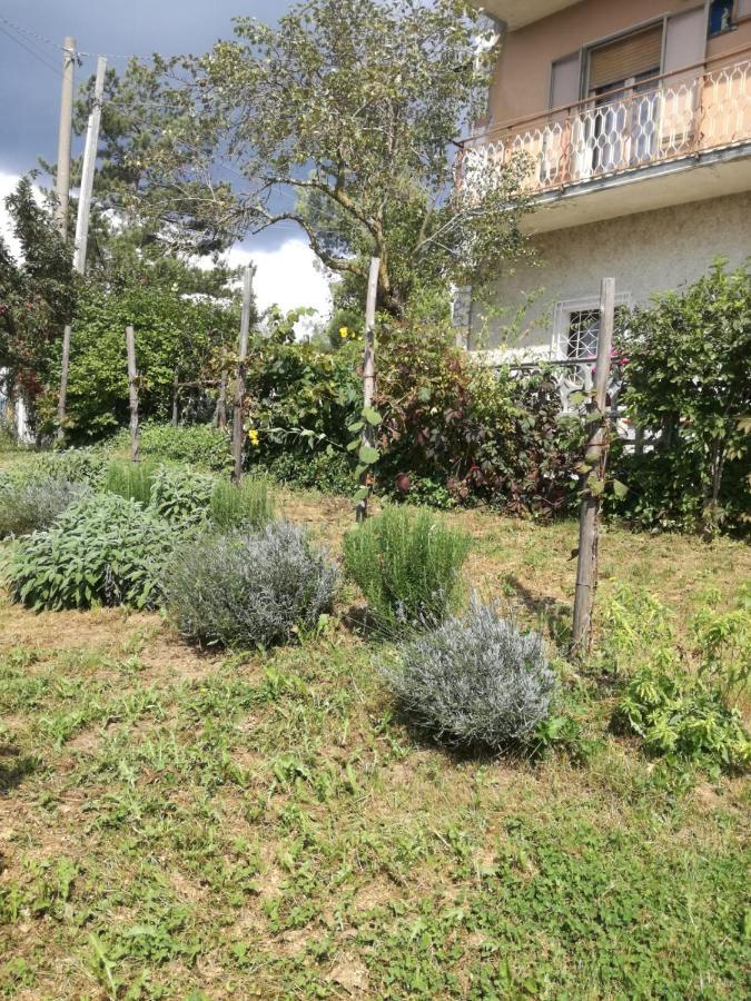 B&B Nel Verde Montesano sulla Marcellana ภายนอก รูปภาพ