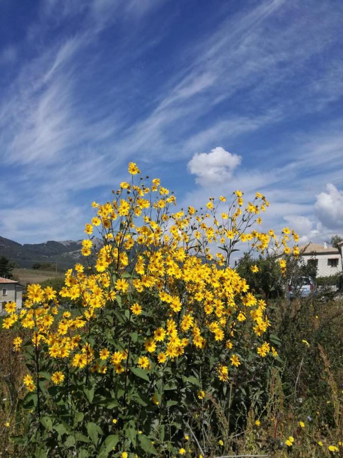 B&B Nel Verde Montesano sulla Marcellana ภายนอก รูปภาพ