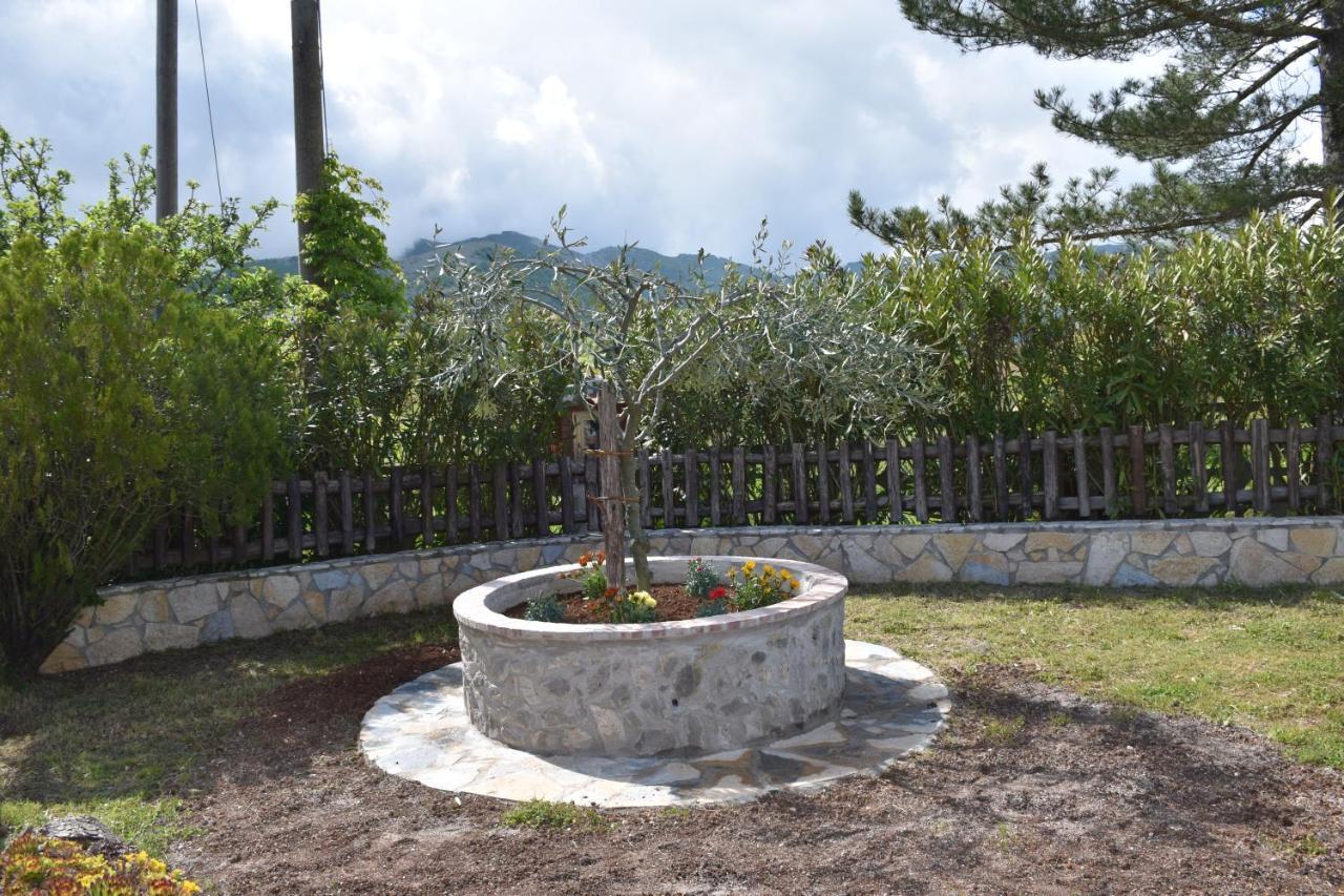 B&B Nel Verde Montesano sulla Marcellana ภายนอก รูปภาพ