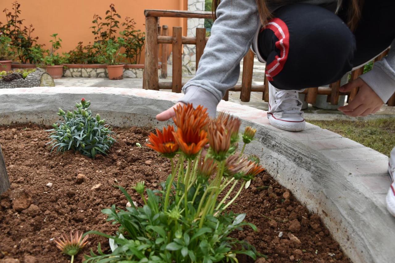 B&B Nel Verde Montesano sulla Marcellana ภายนอก รูปภาพ