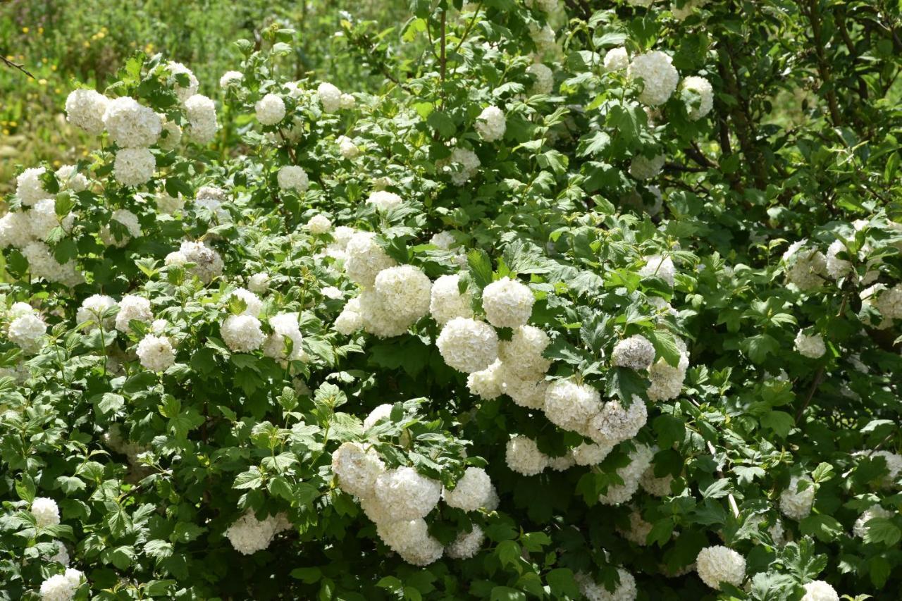 B&B Nel Verde Montesano sulla Marcellana ภายนอก รูปภาพ