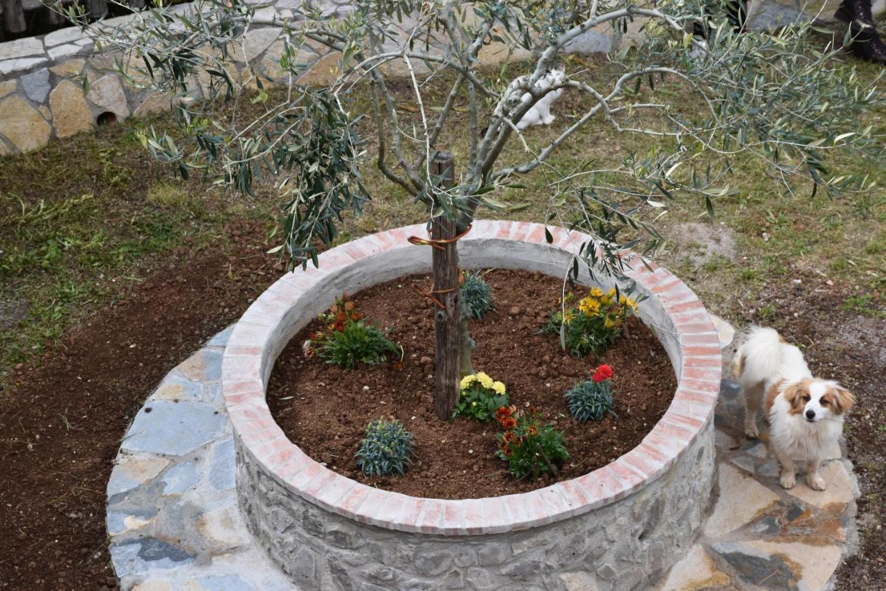 B&B Nel Verde Montesano sulla Marcellana ภายนอก รูปภาพ