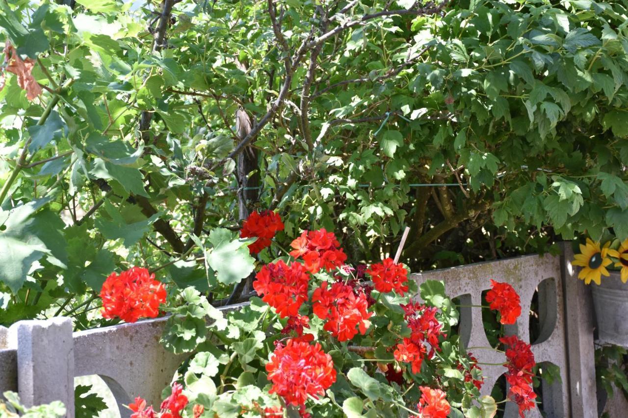B&B Nel Verde Montesano sulla Marcellana ภายนอก รูปภาพ
