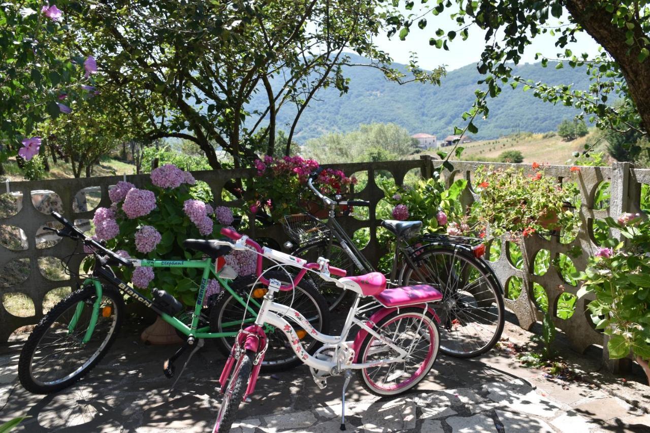 B&B Nel Verde Montesano sulla Marcellana ภายนอก รูปภาพ